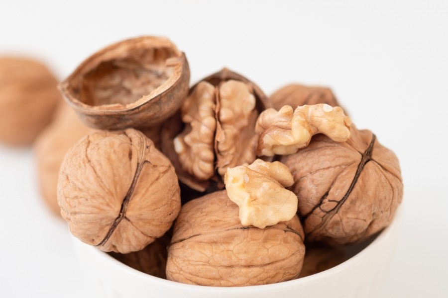 Quels sont les bienfaits des cerneaux de noix pour notre santé ?