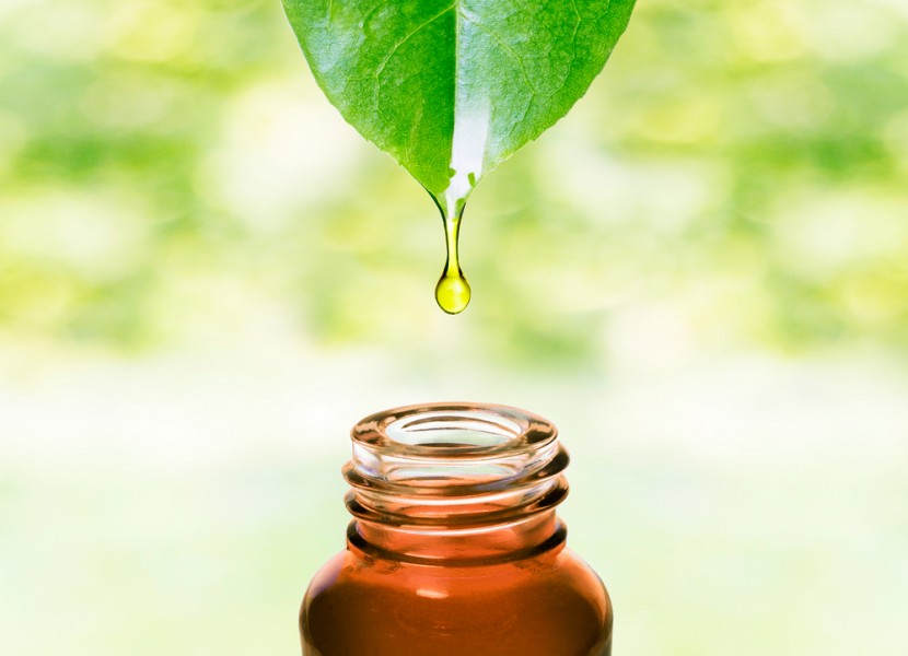 Huile de calophylle : quels sont les bienfaits de cette huile ?