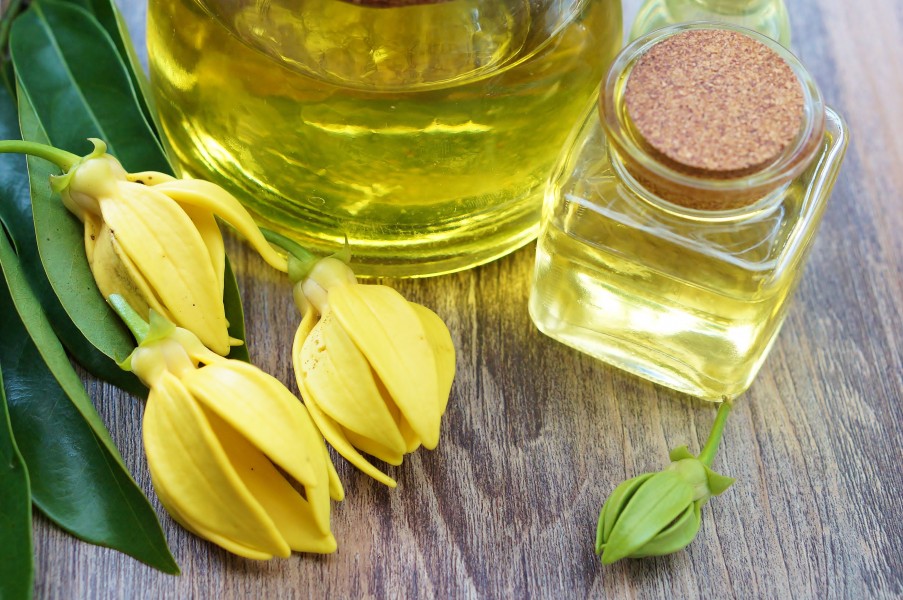En savoir plus sur les propriétés de l'huile essentielle Ylang Ylang
