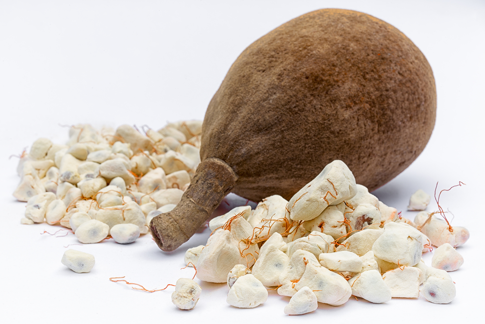 Poudre de baobab : comment l'utiliser ?