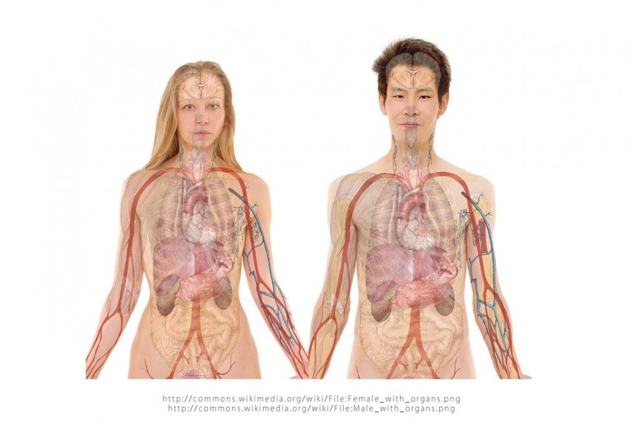 Bronchite asthmatique : causes, symptômes et traitement