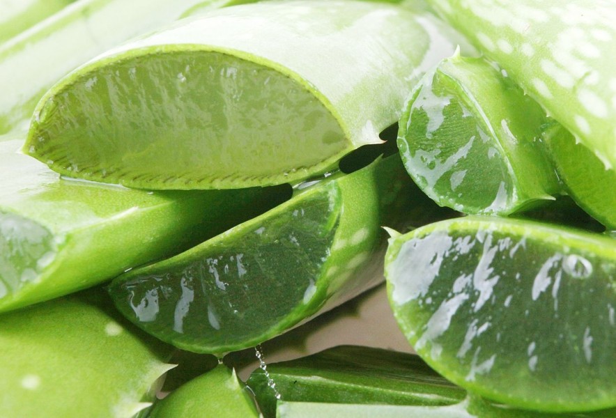 himmelen-Gel aloé vera bio : pourquoi peut-il être utilisé ?