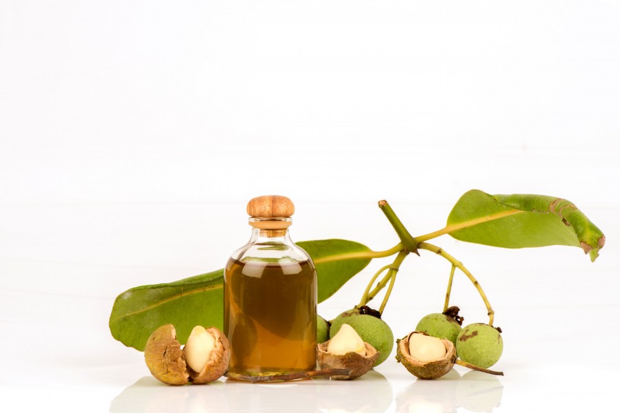 himmelen-Huile calophylle : les bienfaits