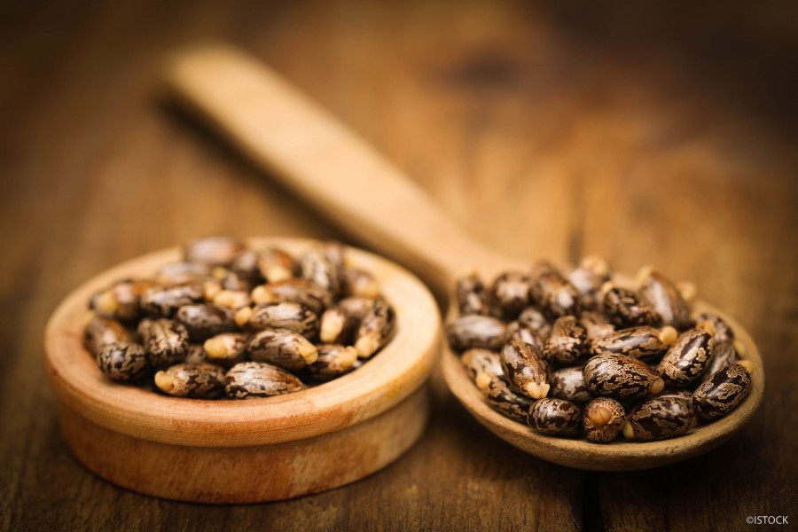 himmelen-Huile de carapate : est-ce la même chose que l'huile de ricin ?