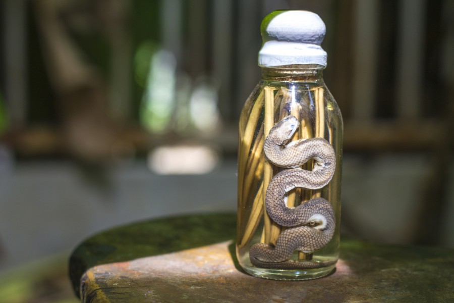 himmelen-Découvrir l'huile de serpent et son savant mélange d'huiles végétales !