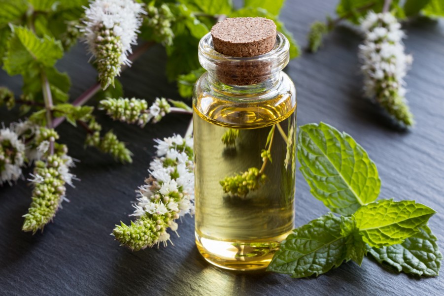 Quand utiliser l'huile essentielle de menthe poivrée ?