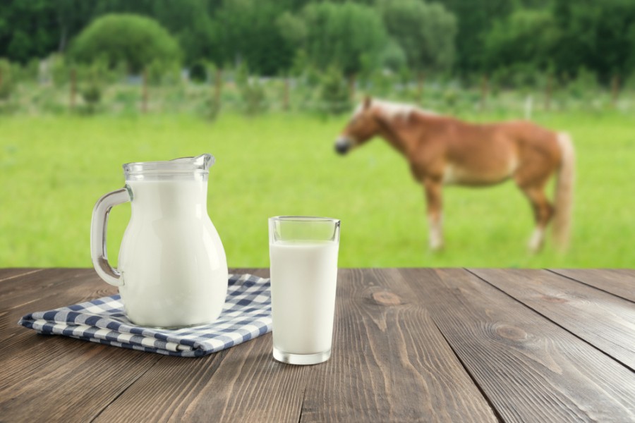 Lait de jument : pour quelle utilisation ?
