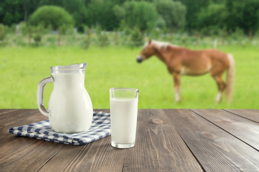 Lait de jument : pour quelle utilisation ?